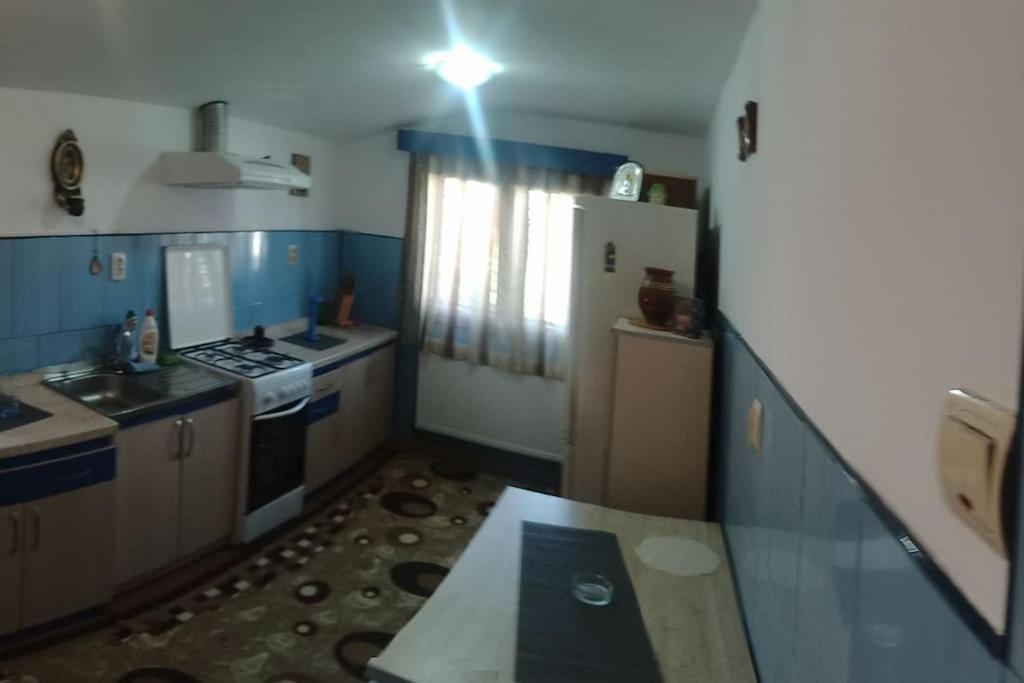 Câmpulung Moldovenesc Casa Cristianヴィラ エクステリア 写真