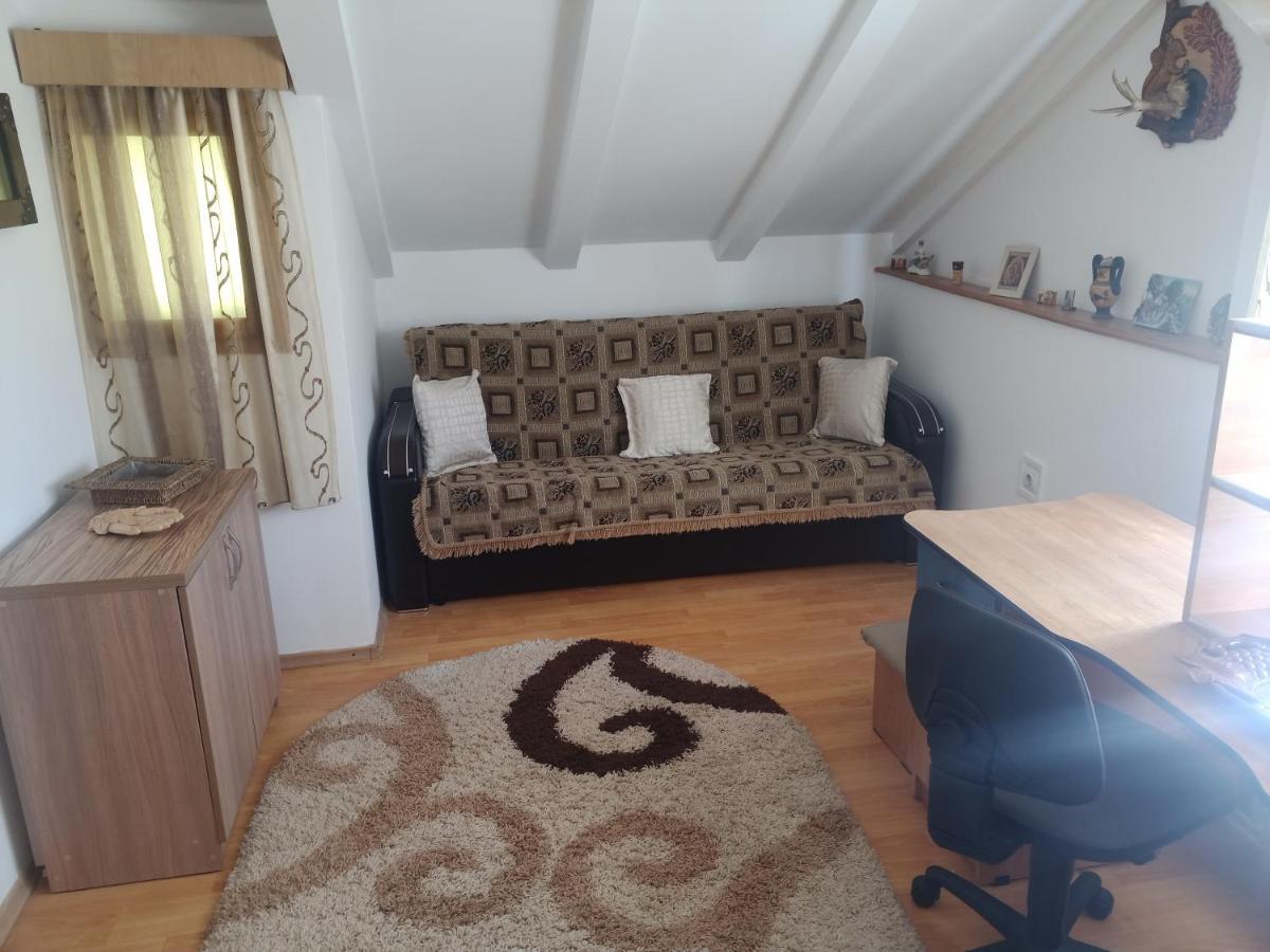 Câmpulung Moldovenesc Casa Cristianヴィラ エクステリア 写真