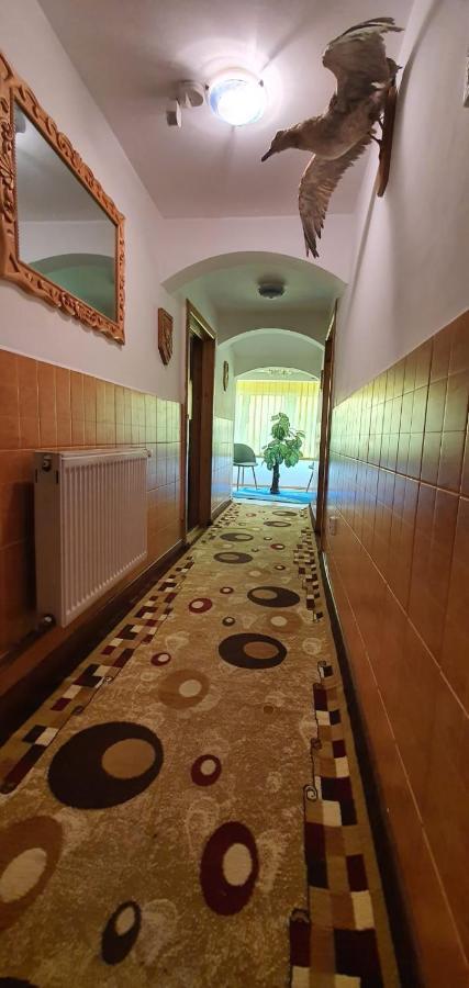 Câmpulung Moldovenesc Casa Cristianヴィラ エクステリア 写真