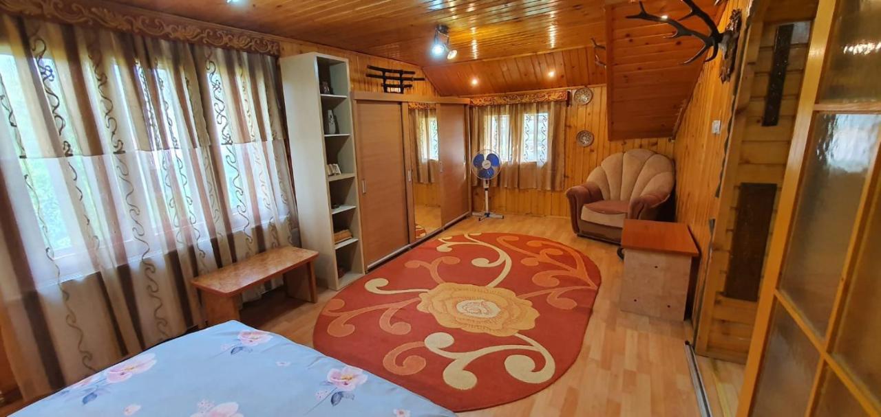 Câmpulung Moldovenesc Casa Cristianヴィラ エクステリア 写真