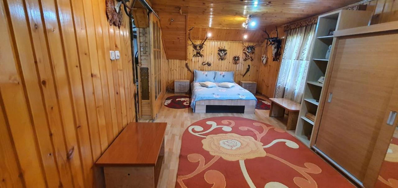 Câmpulung Moldovenesc Casa Cristianヴィラ エクステリア 写真