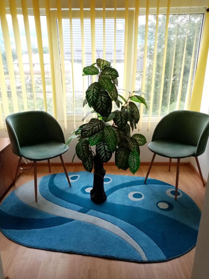 Câmpulung Moldovenesc Casa Cristianヴィラ エクステリア 写真