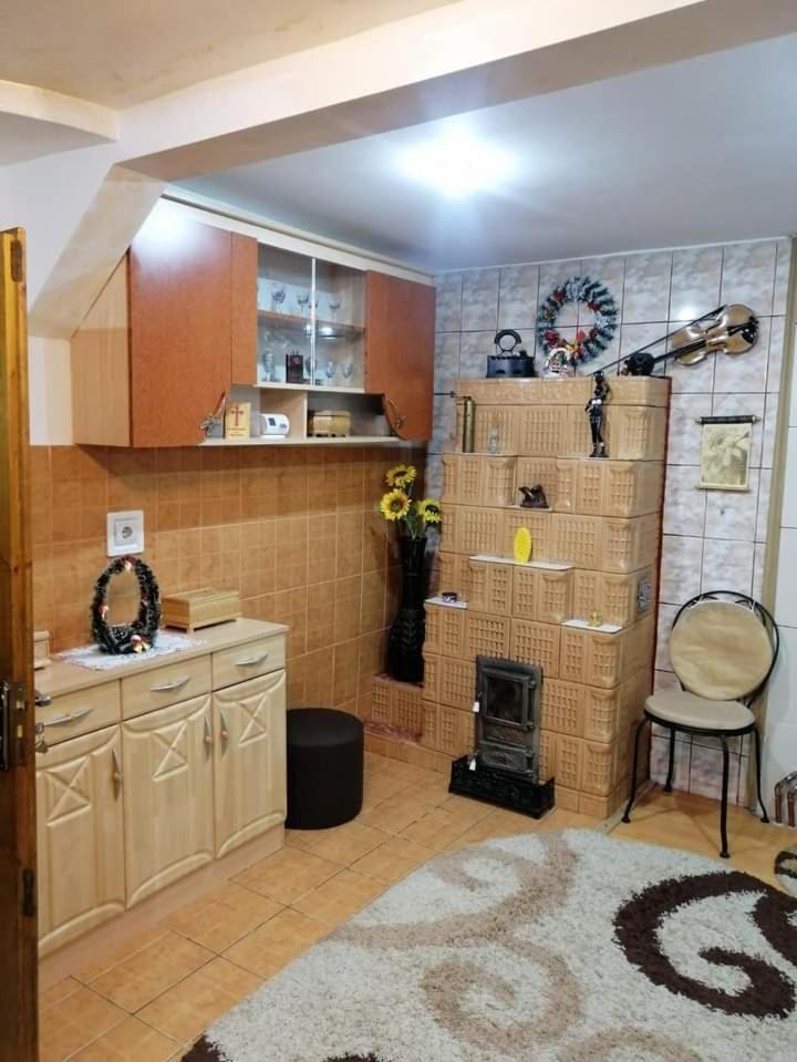 Câmpulung Moldovenesc Casa Cristianヴィラ エクステリア 写真