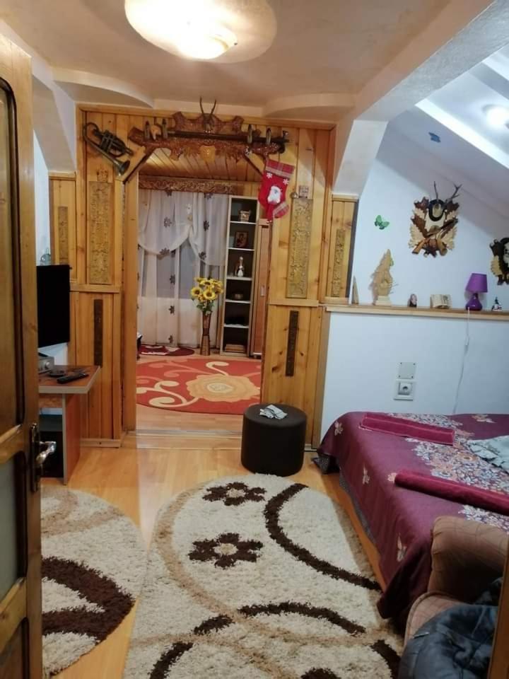 Câmpulung Moldovenesc Casa Cristianヴィラ エクステリア 写真