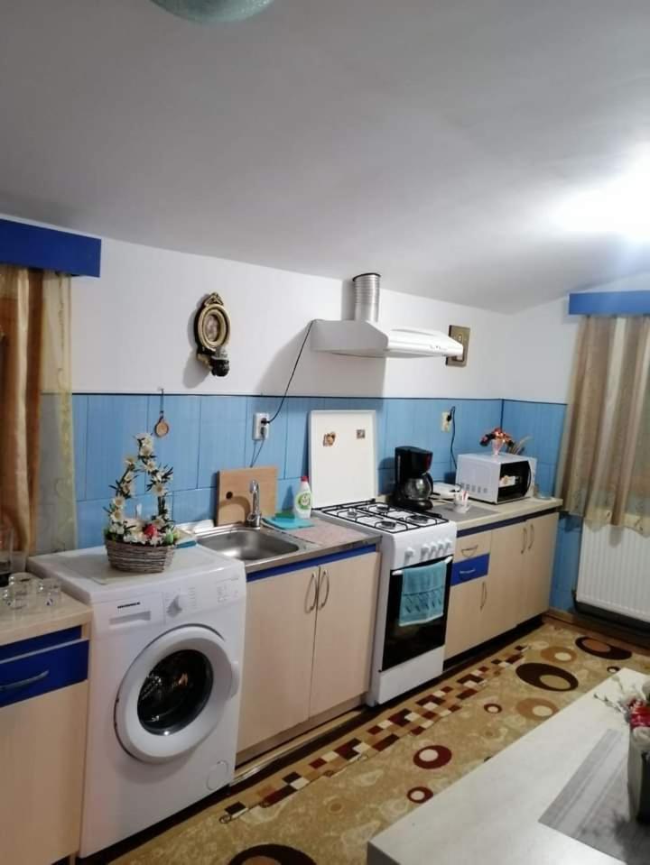 Câmpulung Moldovenesc Casa Cristianヴィラ エクステリア 写真