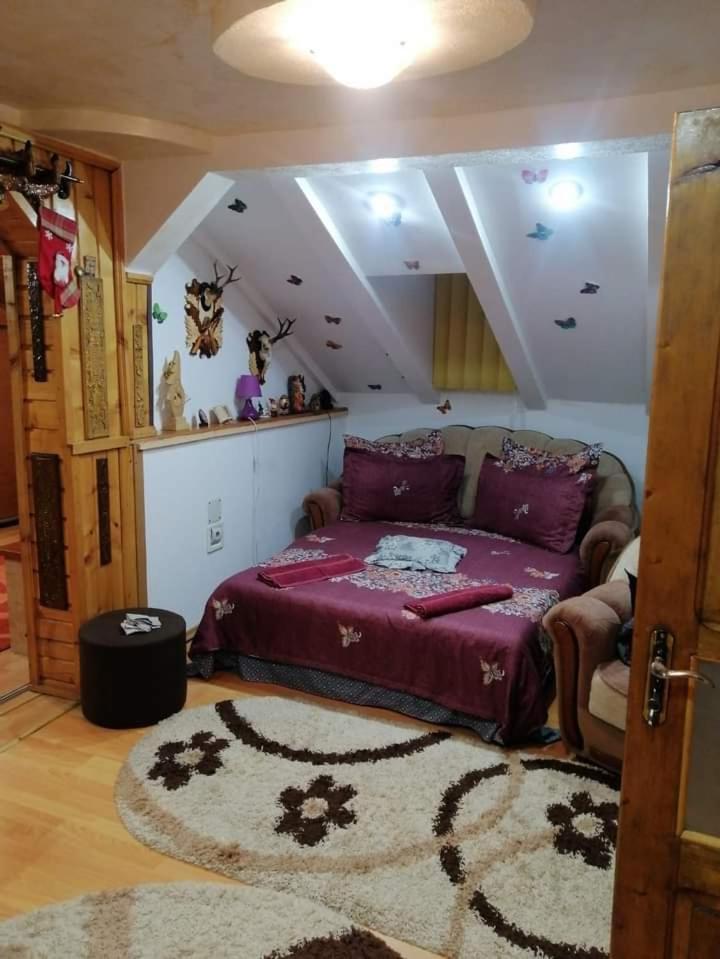 Câmpulung Moldovenesc Casa Cristianヴィラ エクステリア 写真